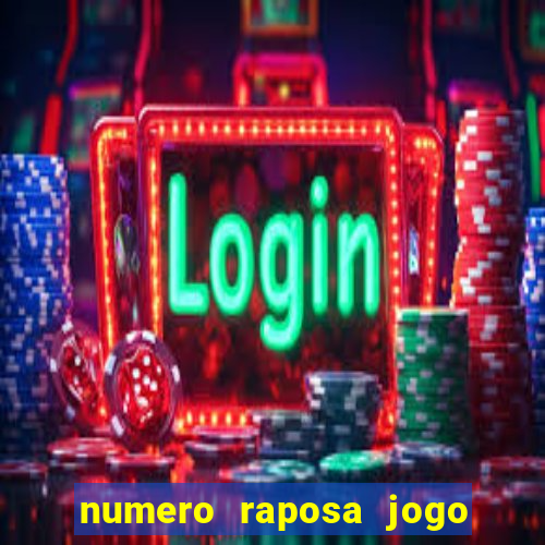 numero raposa jogo do bicho